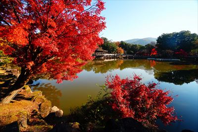 1156_奈良公園鷺池_奈良