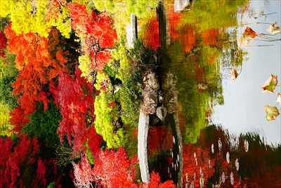 1018_下関市長府庭園_山口