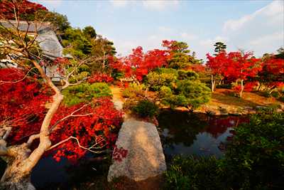 下関市長府庭園_山口