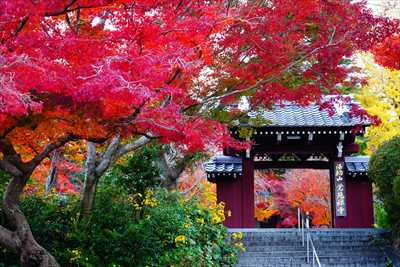 1021_下関市覚苑寺_山口