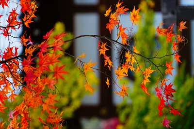 1023_下関市覚苑寺_山口