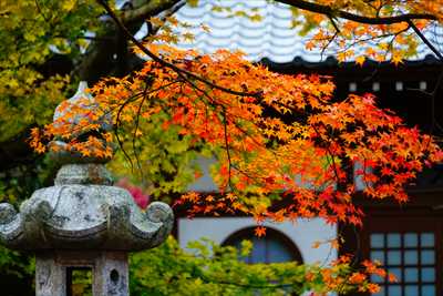 1026_下関市覚苑寺_山口