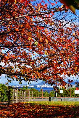 西公園_福岡
