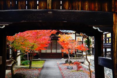 1117_名古屋市徳源寺_愛知