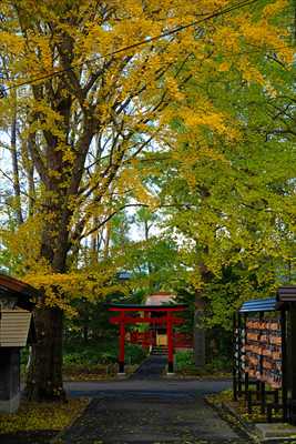 1036_函館亀田八幡宮_北海道