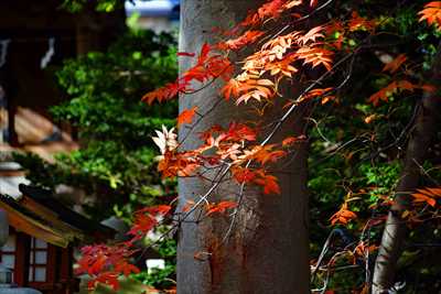 函館亀田八幡宮_北海道