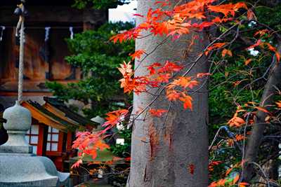 1038_函館亀田八幡宮_北海道