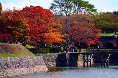 1008_函館五稜郭公園_北海道