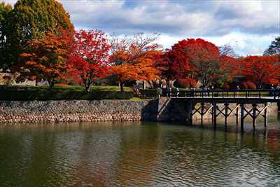1010_函館五稜郭公園_北海道