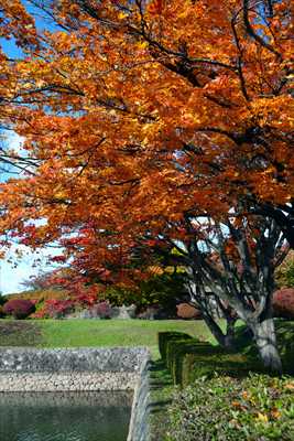 1012_函館五稜郭公園_北海道