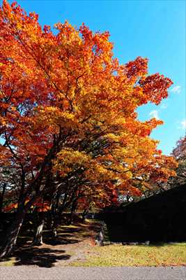 1027_函館五稜郭公園_北海道