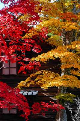 1016_函館見晴公園_北海道