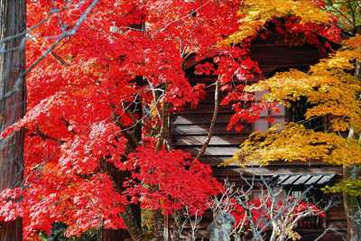 1018_函館見晴公園_北海道