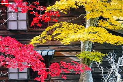 1020_函館見晴公園_北海道