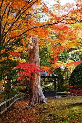 1023_函館見晴公園_北海道
