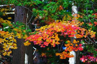 函館見晴公園_北海道