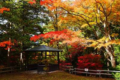 1026_函館見晴公園_北海道