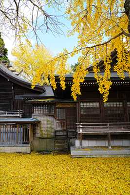 1002_函館湯倉神社_北海道