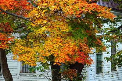1005_函館公園_北海道