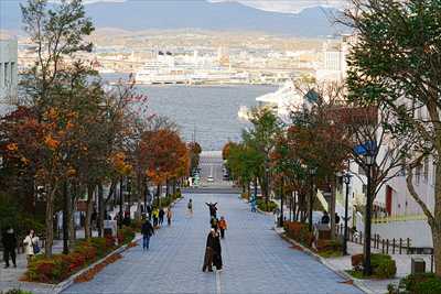 函館八幡坂_北海道