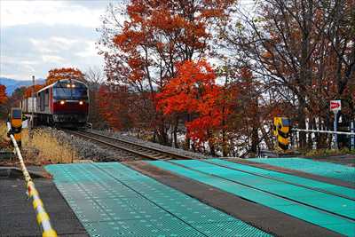 1066_大沼公園_北海道