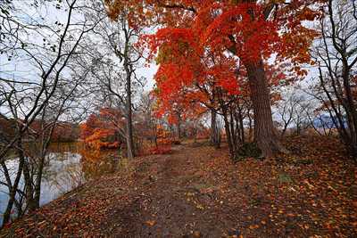 1078_大沼公園_北海道