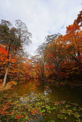 1089_大沼公園_北海道