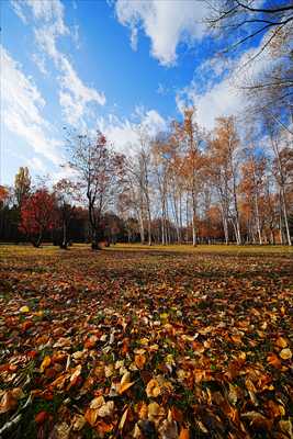 1117_札幌真駒内公園_北海道