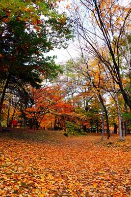 1102_札幌中島公園_北海道