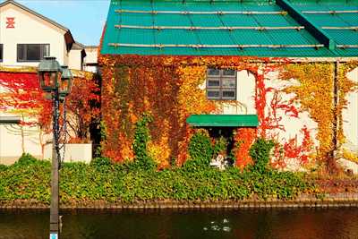 1127_小樽運河_北海道