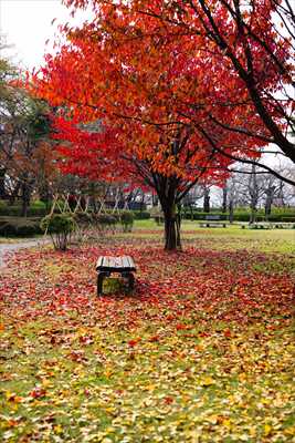 1021_霞城公園_山形