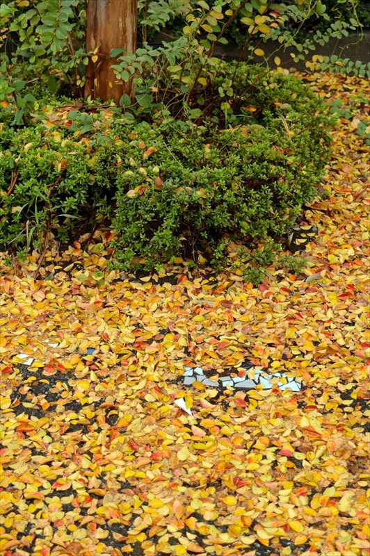 1001_游愁の美_日本