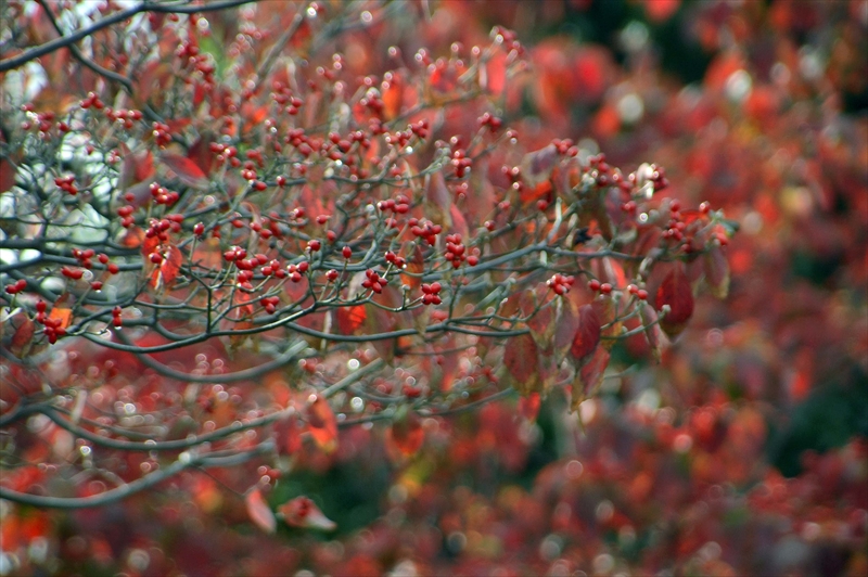 1105__横浜市新羽町_神奈川