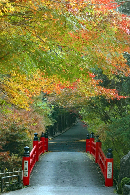 1007_洛東 今熊野観音寺_京都