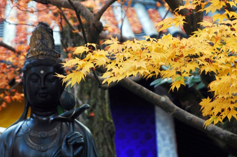 1010_洛東 今熊野観音寺_京都