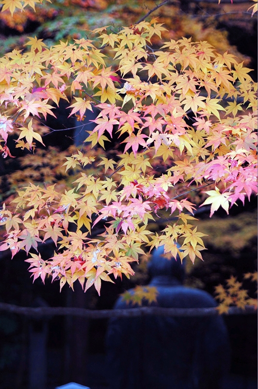 1012_洛東 今熊野観音寺_京都