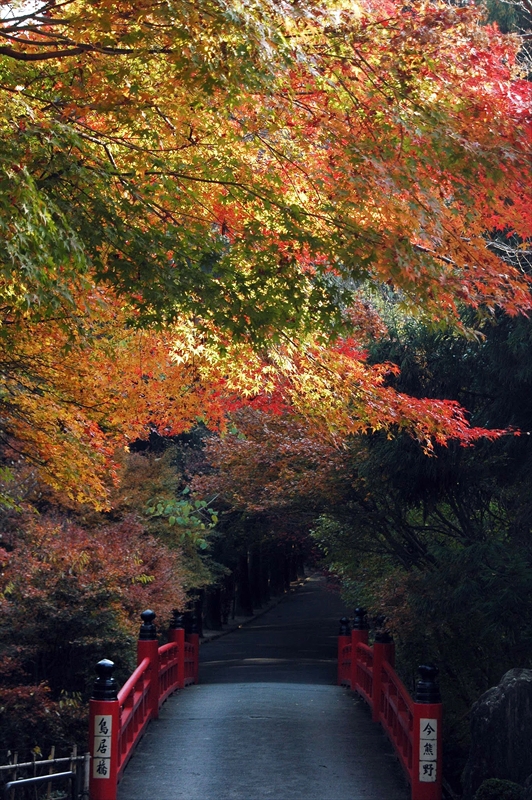 1013_洛東 今熊野観音寺_京都