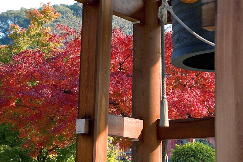 1002_洛中 智積院_京都