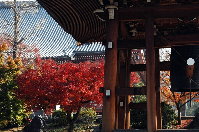1007_洛中 智積院_京都