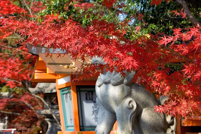 1004_洛東 八坂神社_京都