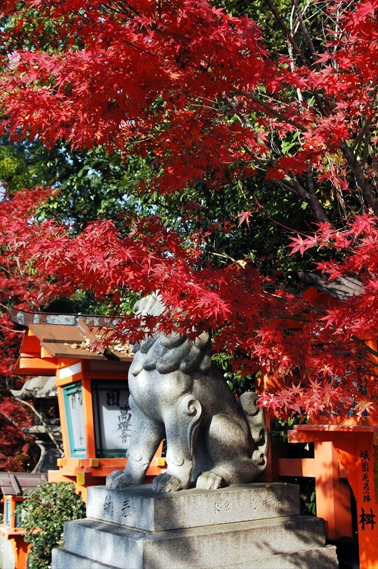 1005_洛東 八坂神社_京都