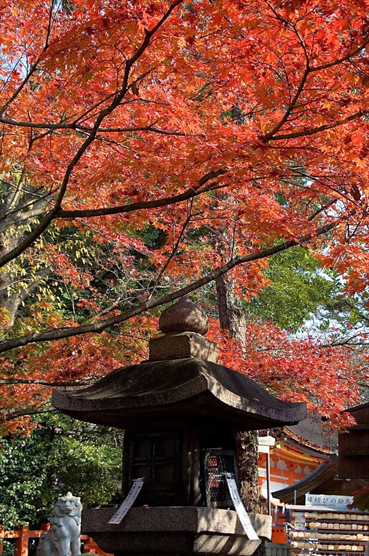 1006_洛東 八坂神社_京都