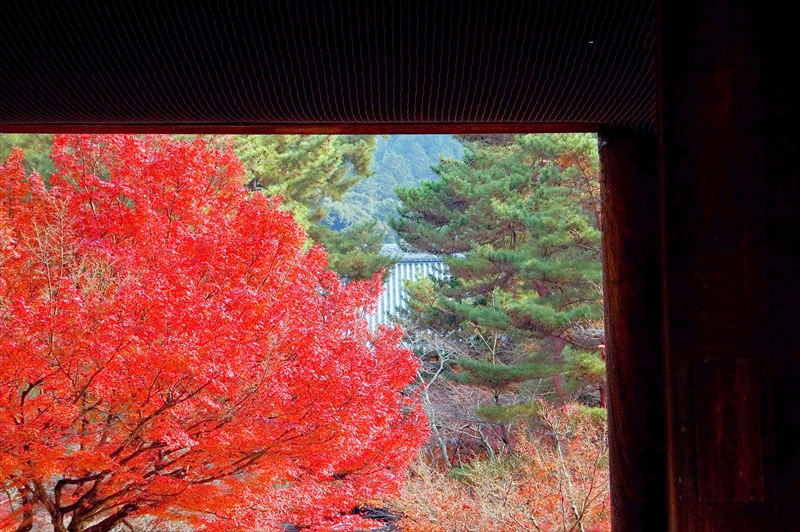 1024_洛東 南禅寺_京都