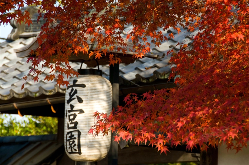 1001_玄宮園_滋賀