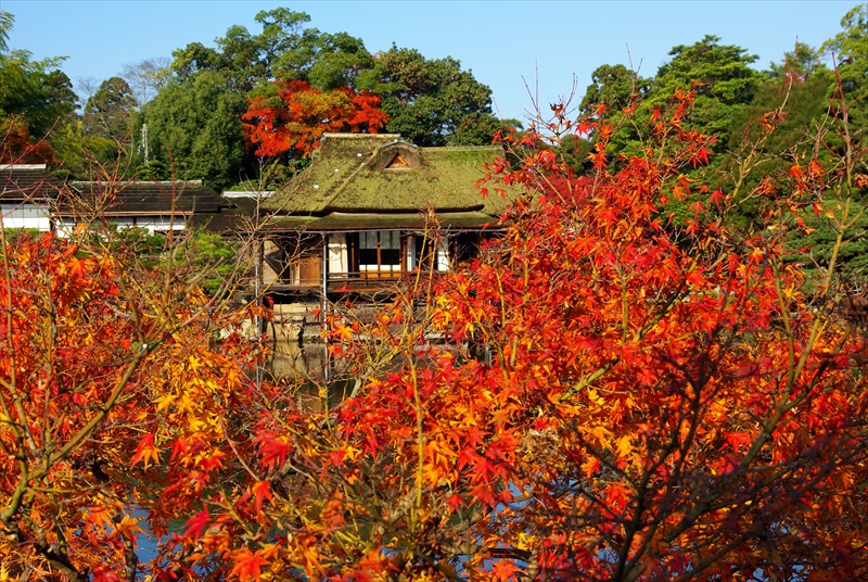 1004_玄宮園_滋賀