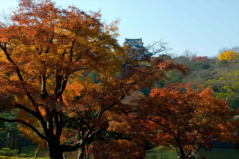 1014_彦根城_滋賀