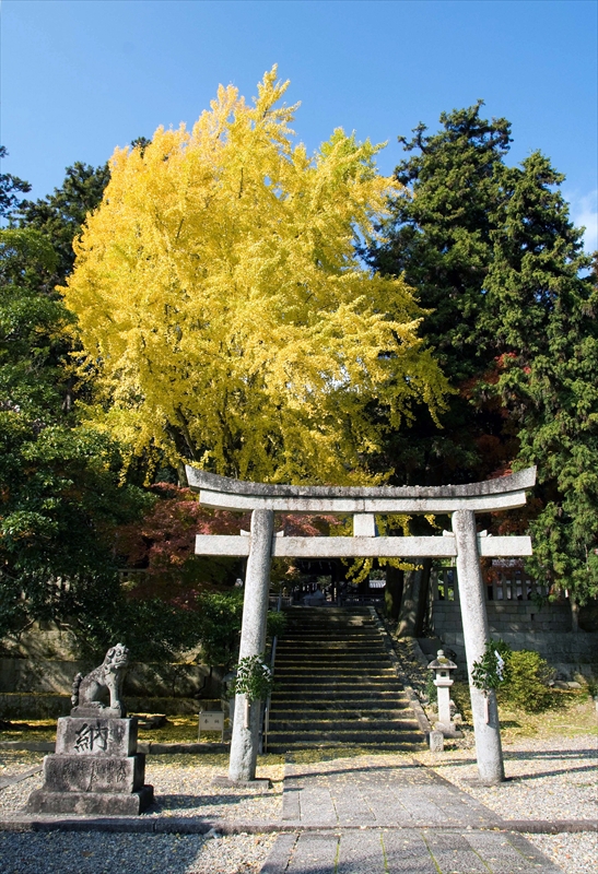 1025_新神社_滋賀