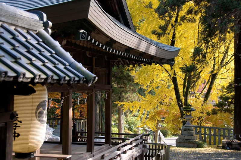 1026_新神社_滋賀