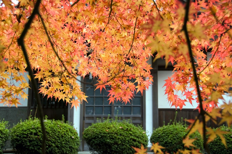 1011_胡宮神社_滋賀