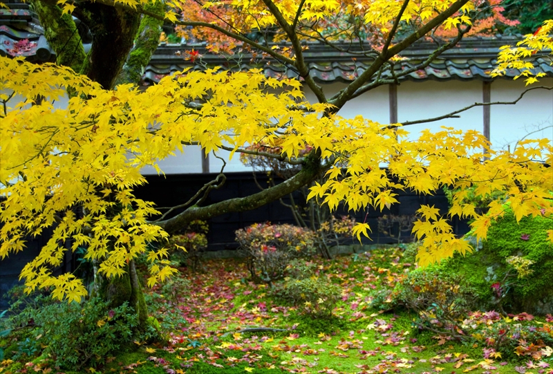 1028_西明寺_滋賀